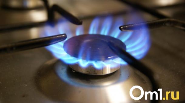 Омичей предупредили о возможных перебоях в газоснабжении. Кого это коснётся?