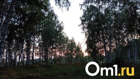 В Минприроды разрешили омским охотникам отстреливать больше дичи