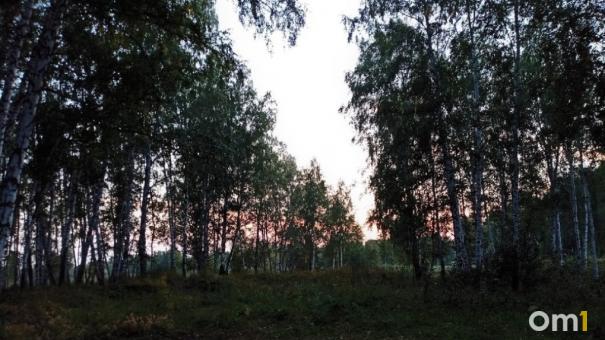 В Минприроды разрешили омским охотникам отстреливать больше дичи