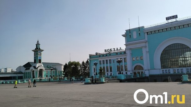 Двое грабителей избили мужчину на вокзале «Новосибирск-Главный» ради 240 тыс рублей