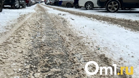 В Омск завезут две снегоплавильных станции из Белоруссии