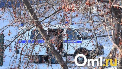 Под Омском нашли груду костей с черепами животных