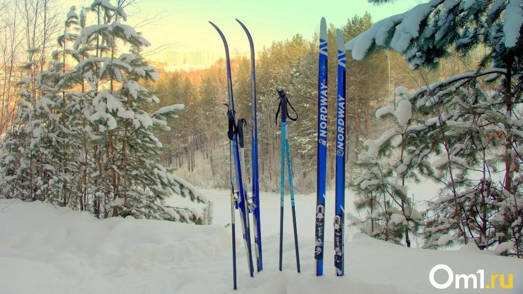 Омич, защищаясь, избил соседа детскими лыжами до полусмерти