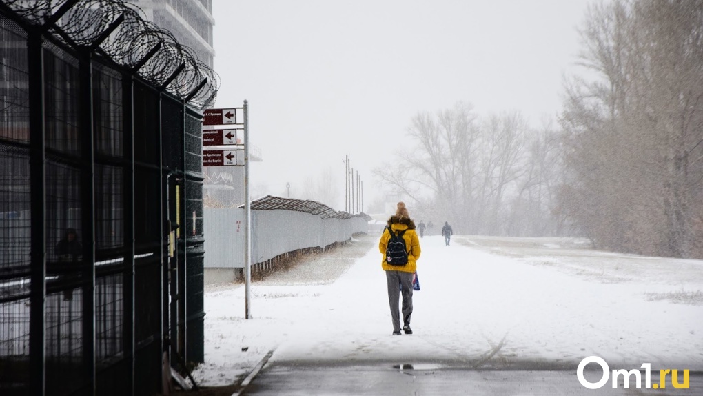 Календарная зима в Омске начнётся с потепления, мокрого снега и гололедицы