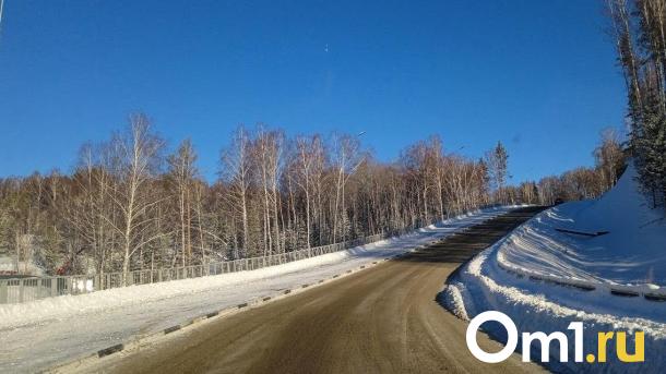 В Омске на новогодних праздниках отменят несколько рейсов в районы области