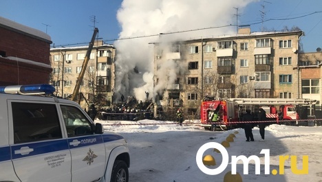 Сотрудники МЧС спасли кота во время разбора завалов дома в Заельцовском районе