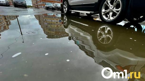 В мэрии Омска рассказали, когда уберут «море» на въезде в Кузьминки