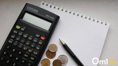 ФНС начнёт автоматически считать налоги вместо омичей