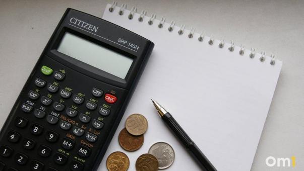 ФНС начнёт автоматически считать налоги вместо омичей