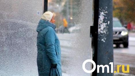 В Гидрометцентре дали прогноз, каким будет февраль в Омске