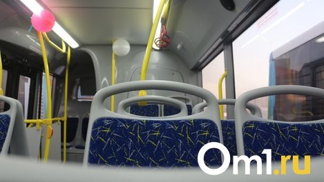 В Минтрансе рассказали, в каких сельских районах Омской области появятся новые автобусы