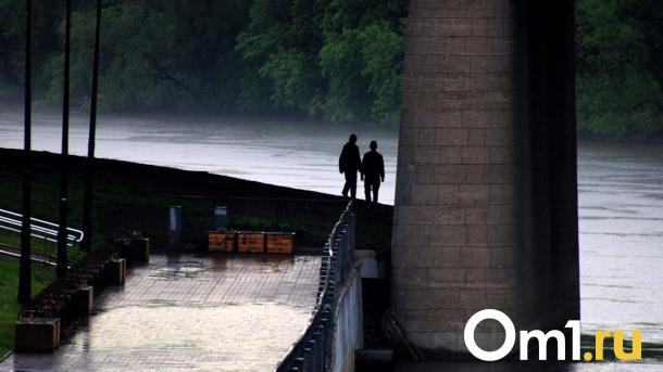 Идёт буря: в МЧС выпустили штормовое предупреждение в Омске