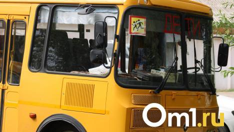 Омский Следком проверяет случай отравления детей в лагере «Орлёнок»