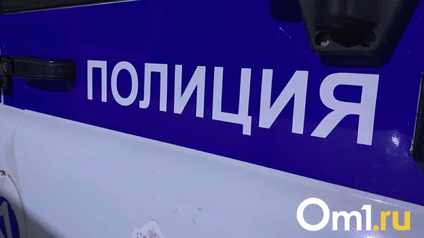 В Новосибирске провели обыск у помощницы депутата Сергея Бойко