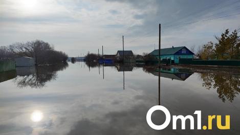Омичи, пострадавшие от паводка, получат выплаты от регионального правительства