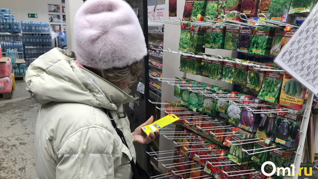 Как правильно определить день посева овощей, рассказала новосибирский агроном Людмила Шубина