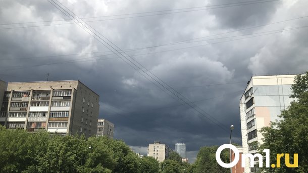 Дожди, грозы и жара до +29 возвращаются в Новосибирск на следующей неделе