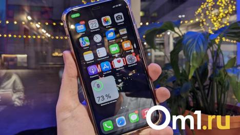 Девушка обманула омских продавцов на 130 000 рублей с помощью поддельных чеков