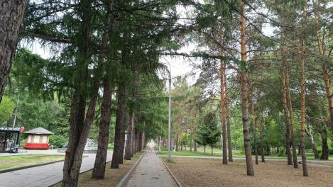 День русского языка 6 июня: программа культурных мероприятий в Новосибирске
