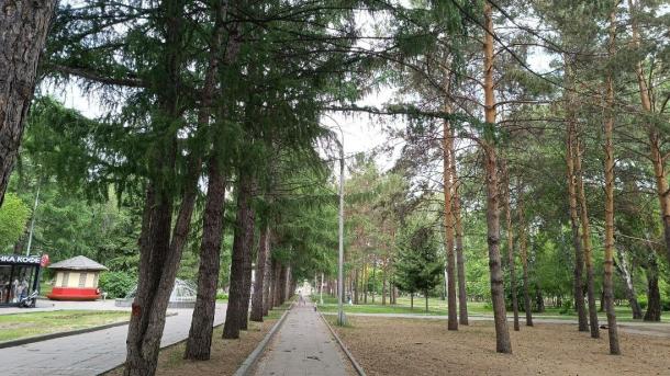 День русского языка 6 июня: программа культурных мероприятий в Новосибирске