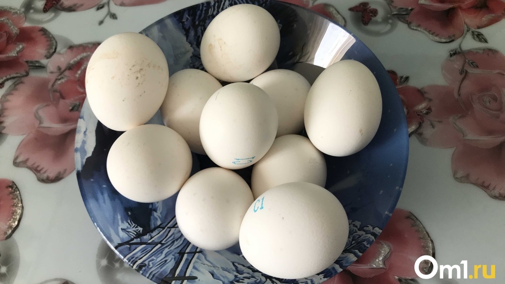 Золотые яйца. Птицефабрики заявили о резком росте цен на продукцию
