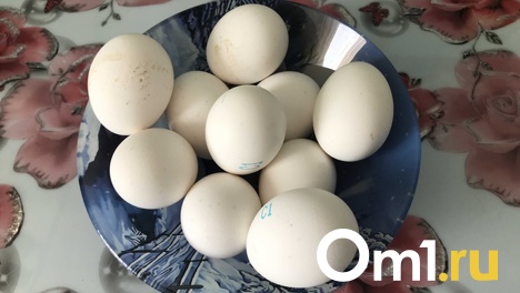 Золотые яйца. Птицефабрики заявили о резком росте цен на продукцию