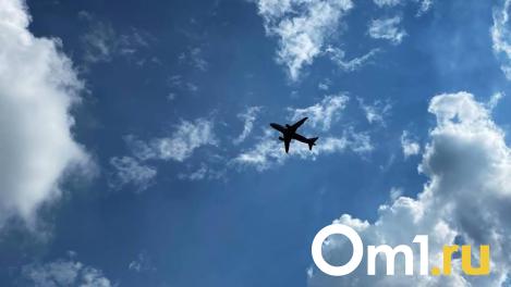 Самолёт из Омска кружил над Москвой
