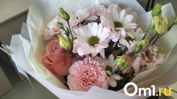 Винную дегустацию и СПА: что дарят новосибирцы на День учителя-2023