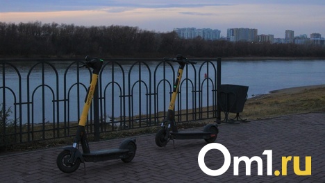 Каждый восьмой омич использует электросамокат для деловых поездок