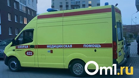 Поздно ночью в Омской области водитель «Приоры» насмерть сбил пешехода