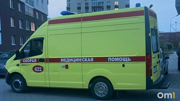 Поздно ночью в Омской области водитель «Приоры» насмерть сбил пешехода