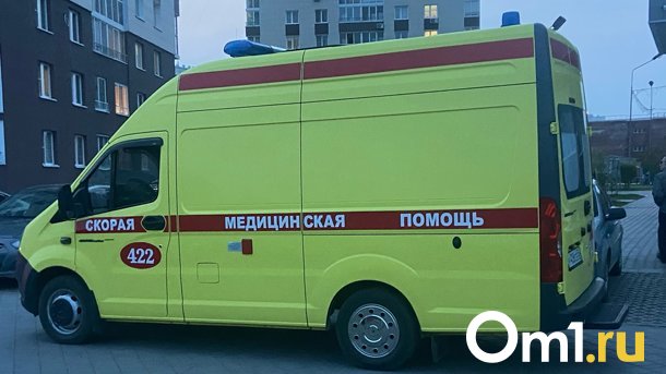 Поздно ночью в Омской области водитель «Приоры» насмерть сбил пешехода