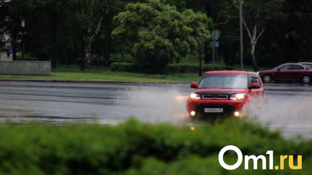Бюрократия задушит обучение: новые правила вызовут коллапс в автошколах