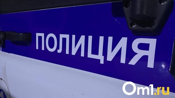 Омского водителя, который сбил пешехода и сбежал, поймали