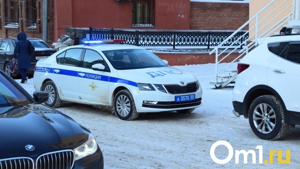 Остановят всех: омские автолюбители на выходных подвергнутся сплошным проверкам от ГАИ