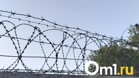 Пьяный омич ударил собутыльника металлической сечкой и сел на 2 года