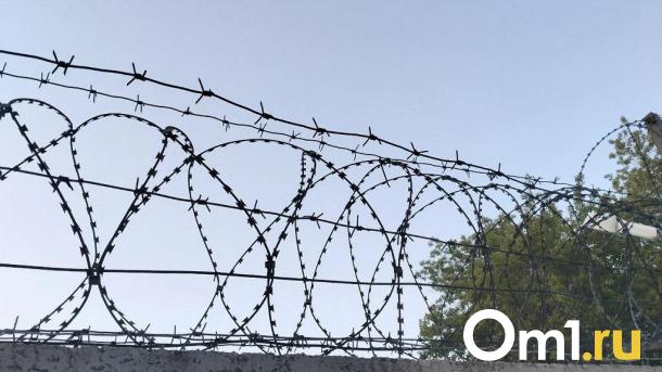 Пьяный омич ударил собутыльника металлической сечкой и сел на 2 года