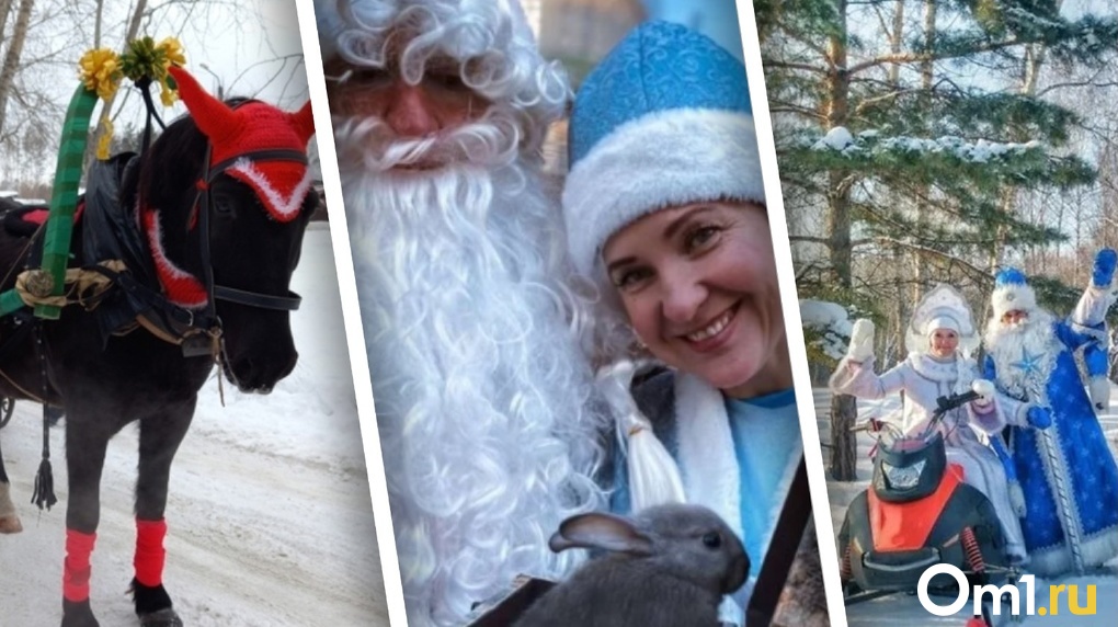 Спустится с крыши ради ребёнка: в Новосибирске нашли самых необычных Дедов Морозов
