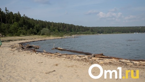 Участок под базу отдыха около Новосибирского водохранилища продают за 13 млн рублей