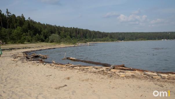 Участок под базу отдыха около Новосибирского водохранилища продают за 13 млн рублей