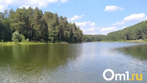 На омской реке незаконно установили дамбу и река обмелела