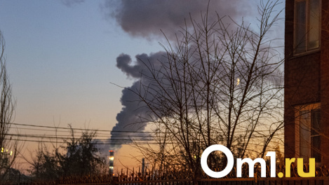 В Амурском посёлке Омска появится станция контроля загрязнения атмосферного воздуха