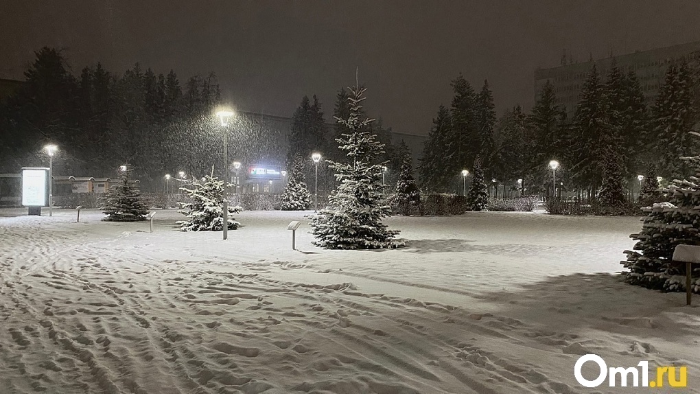 Умеренный снегопад обрушится на Новосибирск в Крещенскую неделю