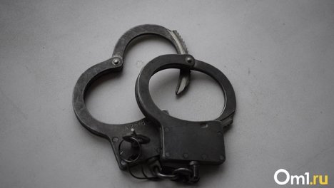 В Новосибирске бывшего замдиректора физматшколы осудили за смерть мальчика в результате ДТП