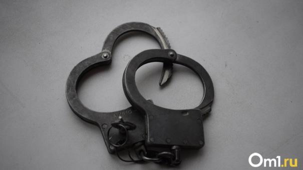 В Новосибирске бывшего замдиректора физматшколы осудили за смерть мальчика в результате ДТП