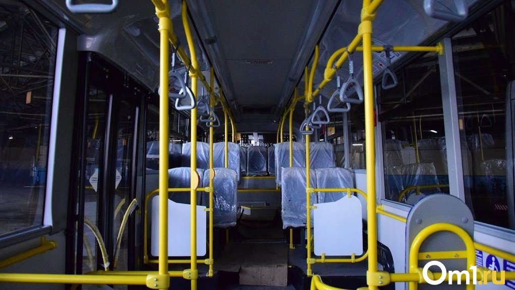 Омичей с дня города развезут ночными автобусами