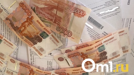 Размер пени при просрочке оплаты ЖКХ снизили для новосибирцев