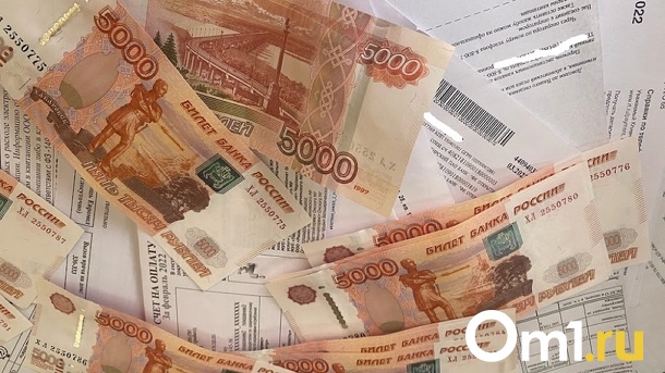 Размер пени при просрочке оплаты ЖКХ снизили для новосибирцев