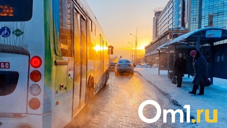 Новые экологичные автобусы появятся на омских дорогах в феврале