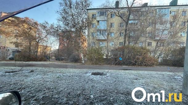 На Иртышской набережной высадят новые деревья